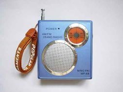 衡阳市金鼎电子有限责任公司 电子产品领域的创新与担当